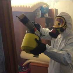 Уничтожение клопов в квартире. Лесосибирск